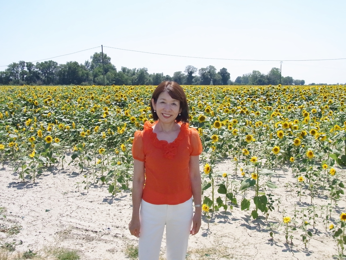 f:id:ChoigeeMitsu:20210213152823j:plain