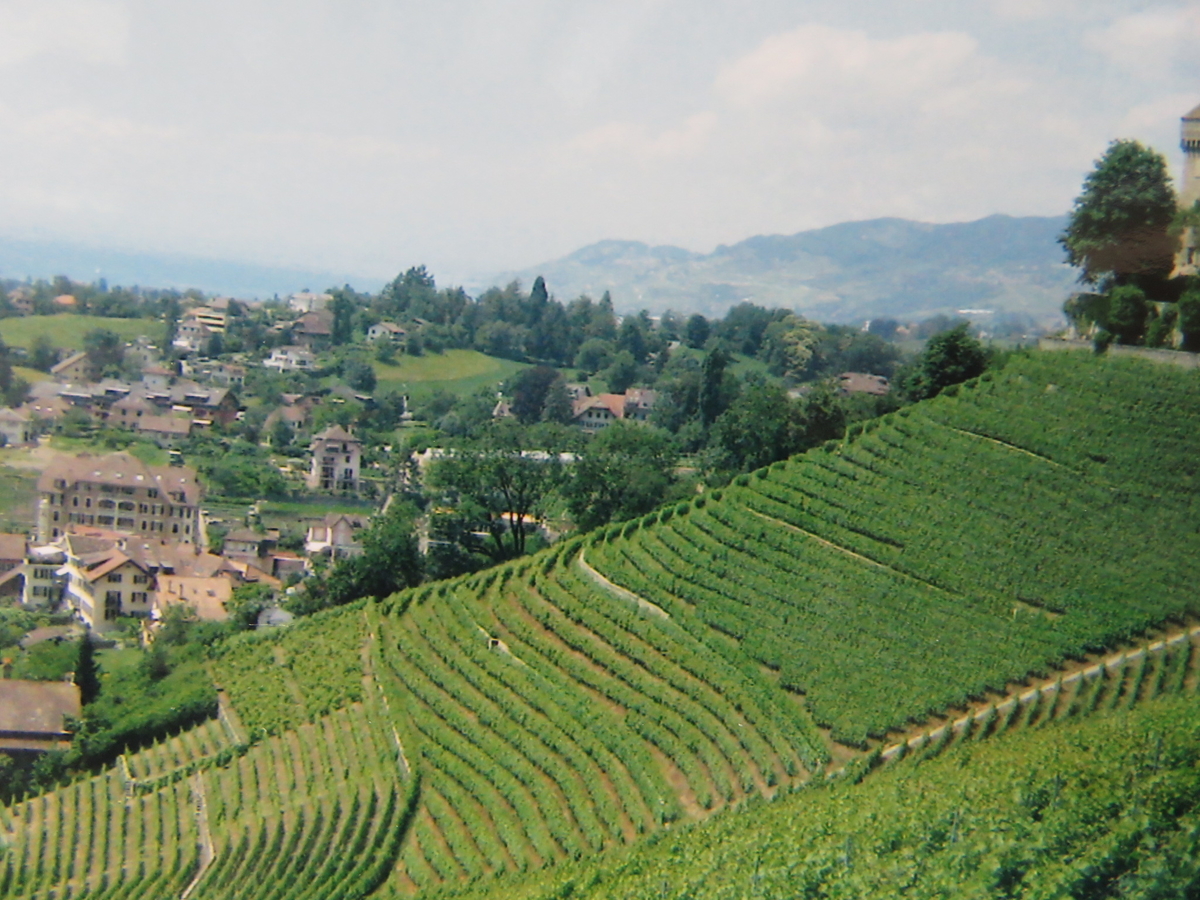 f:id:ChoigeeMitsu:20210608144517j:plain