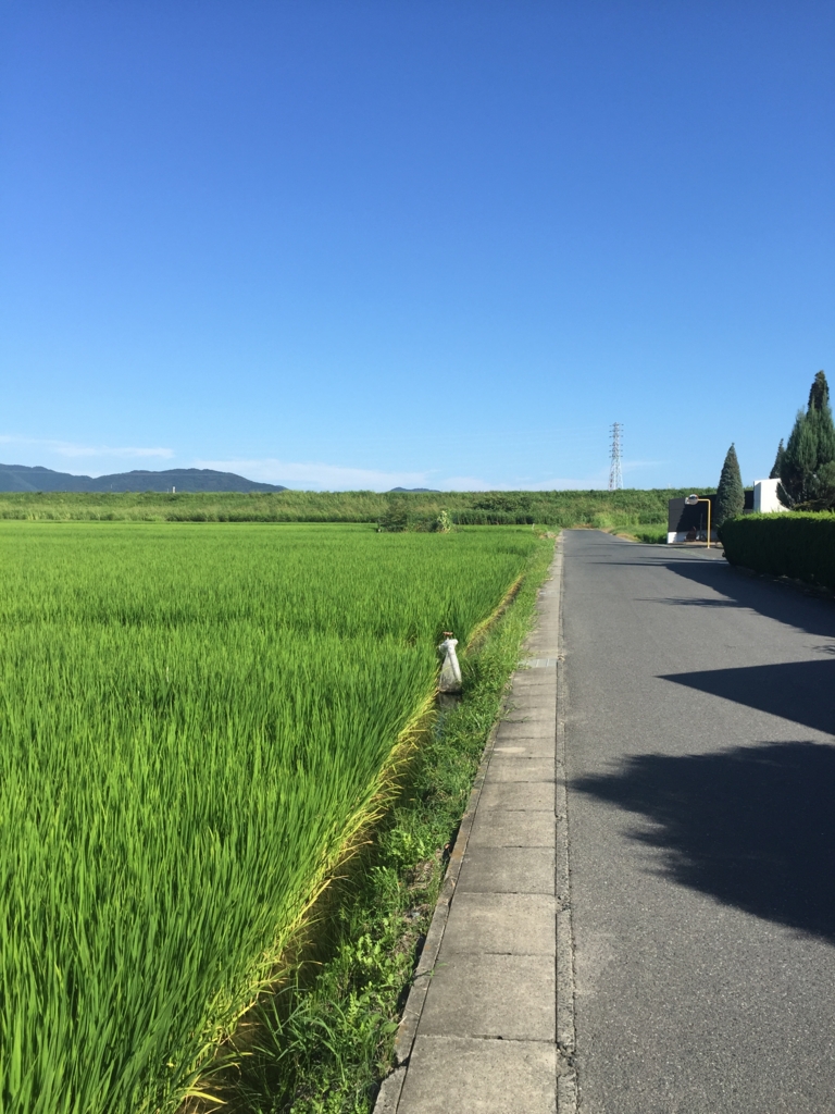 f:id:ChokoValley:20160816155436j:plain