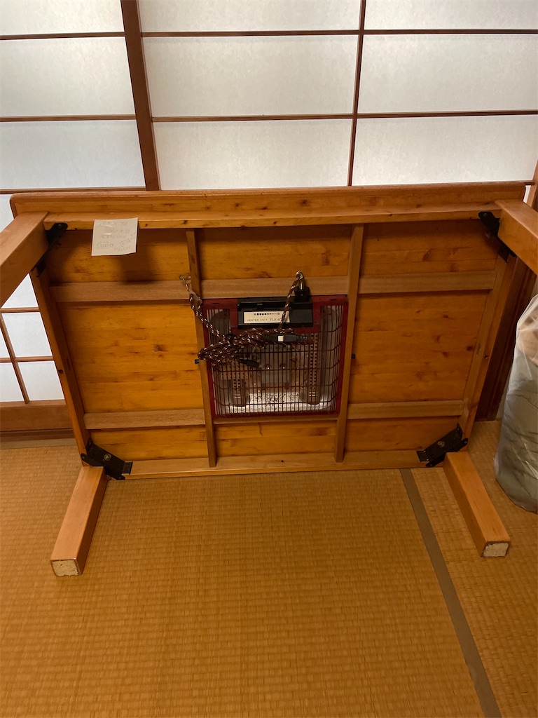 f:id:CiCi_Lemonade:20251121183937j:image