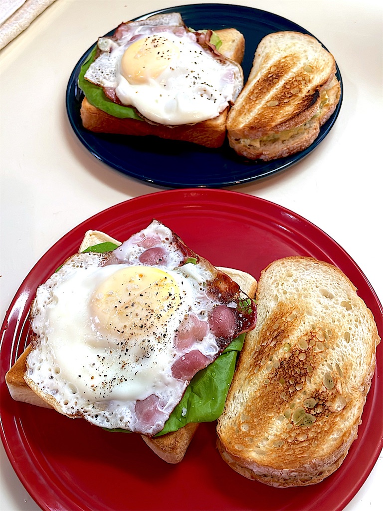 f:id:CiCi_Lemonade:20251127095002j:image