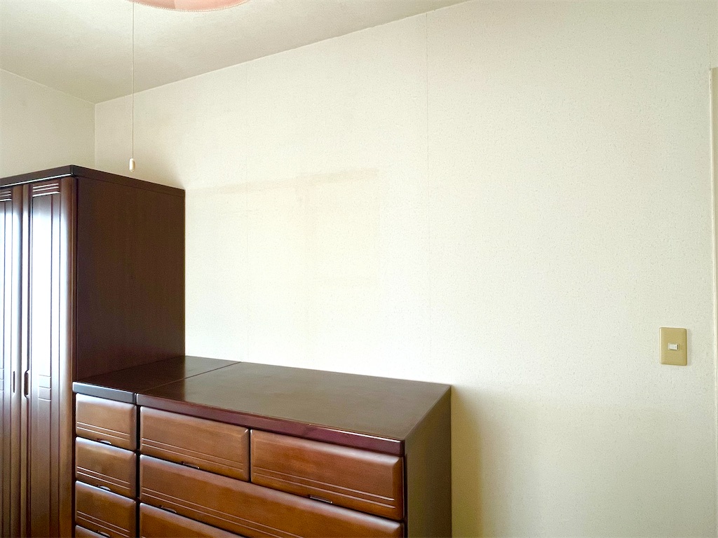 f:id:CiCi_Lemonade:20260103093931j:image