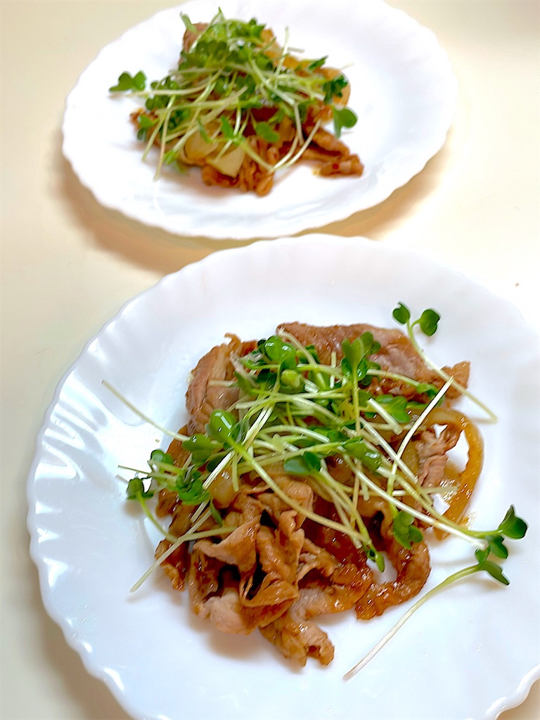 f:id:CiCi_Lemonade:20260109084848j:image