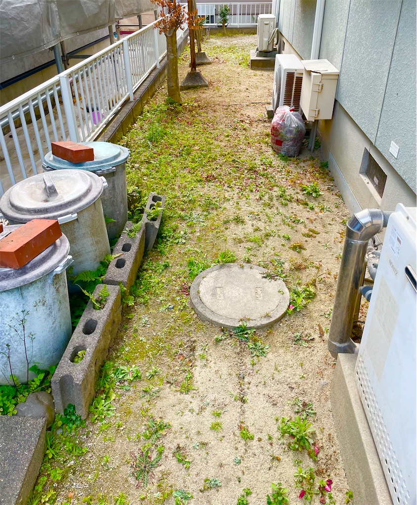 f:id:CiCi_Lemonade:20260131062724j:image f:id:CiCi_Lemonade:20260131062724j:image