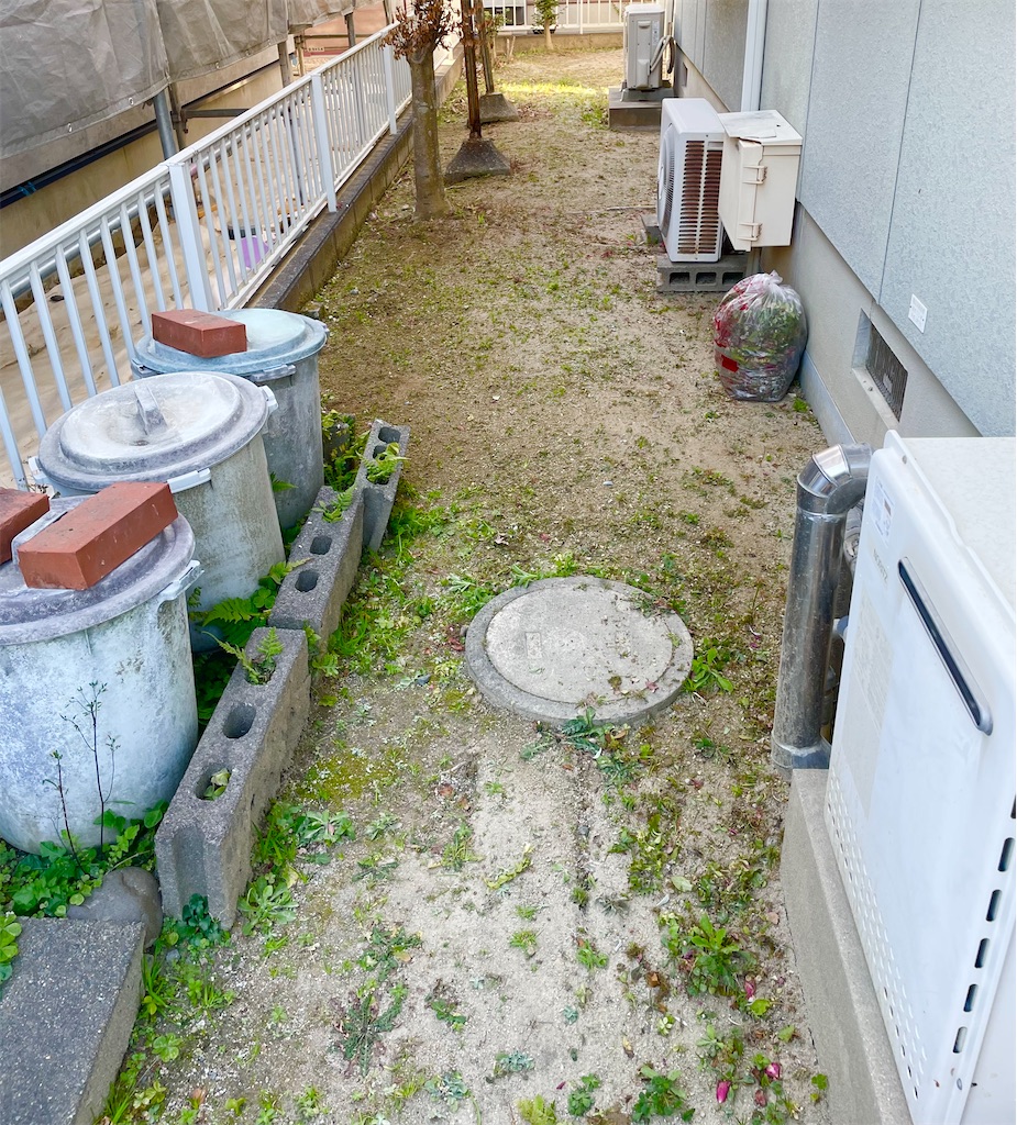 f:id:CiCi_Lemonade:20260201091835j:image f:id:CiCi_Lemonade:20260201091835j:image