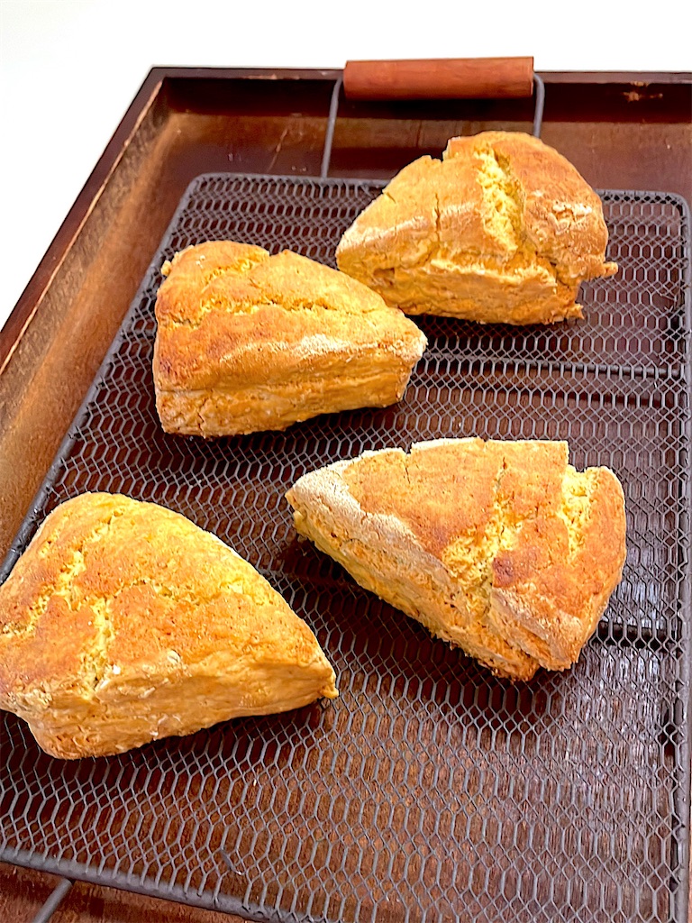 f:id:CiCi_Lemonade:20260201184601j:image