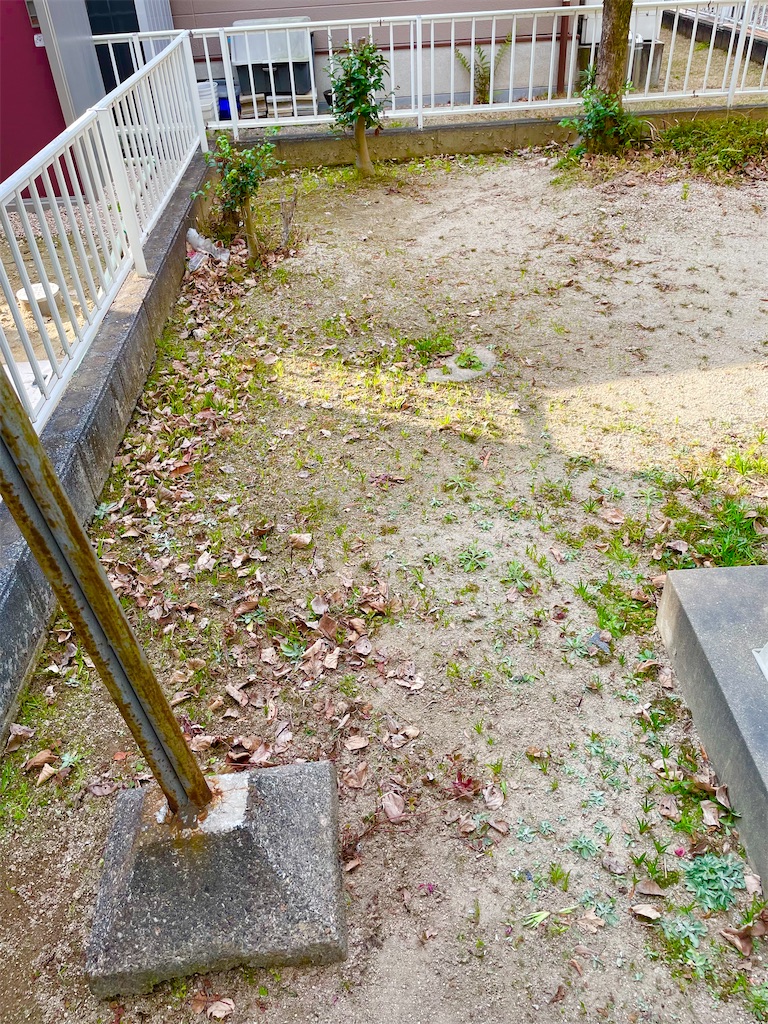 f:id:CiCi_Lemonade:20260201184607j:image