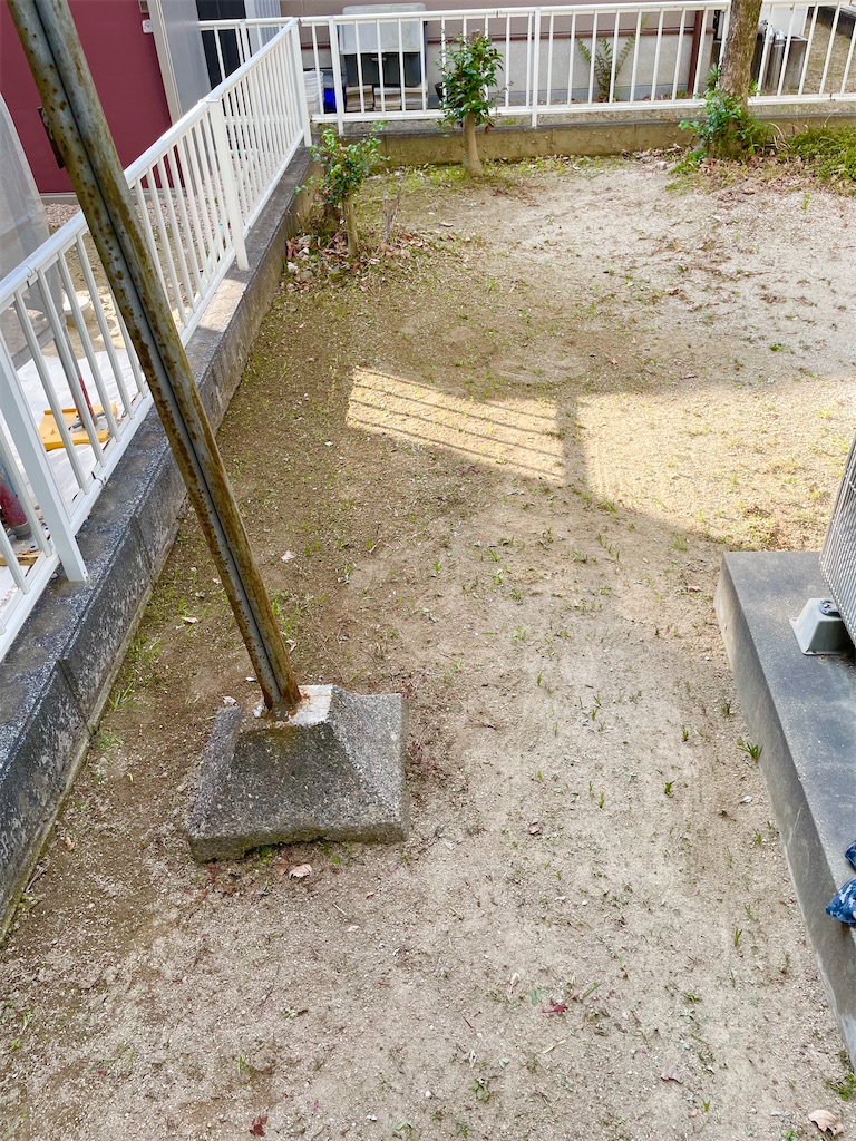 f:id:CiCi_Lemonade:20260201184609j:image