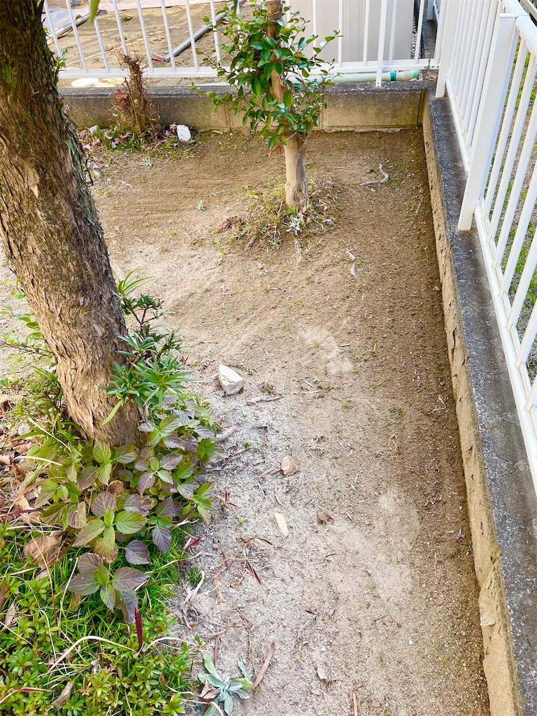 f:id:CiCi_Lemonade:20260202124614j:image