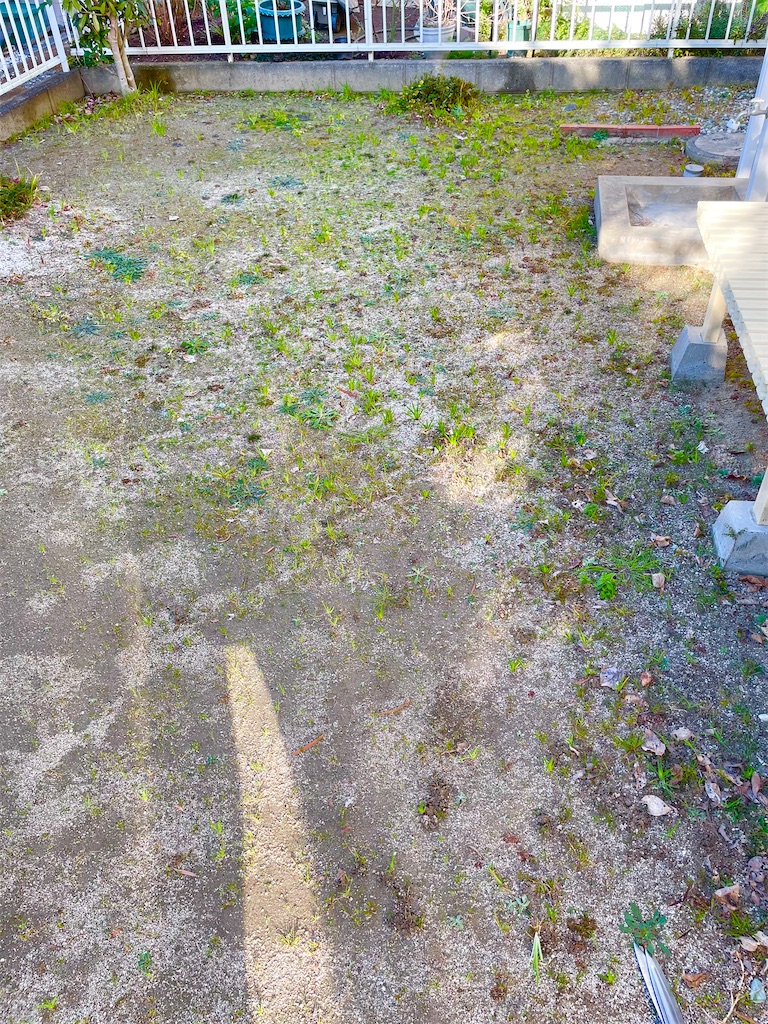 f:id:CiCi_Lemonade:20260203124500j:image