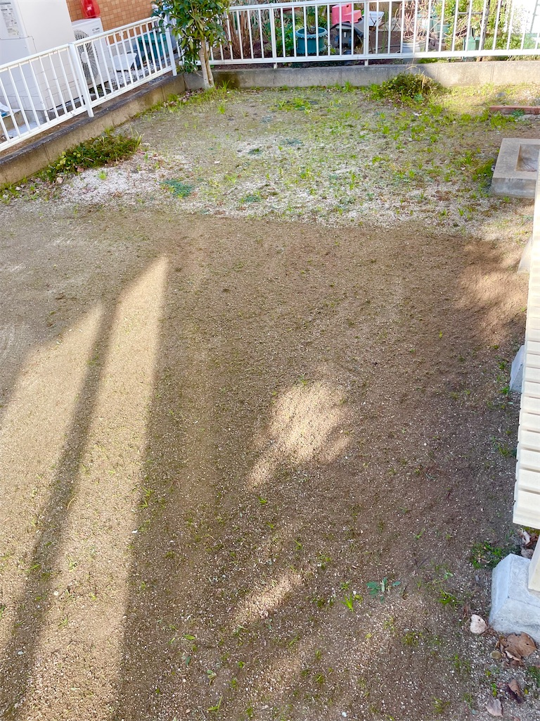 f:id:CiCi_Lemonade:20260205082246j:image