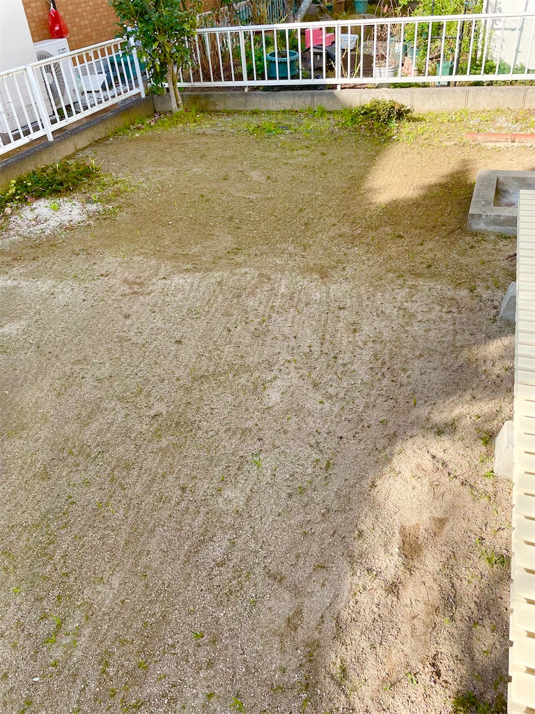 f:id:CiCi_Lemonade:20260205200943j:image