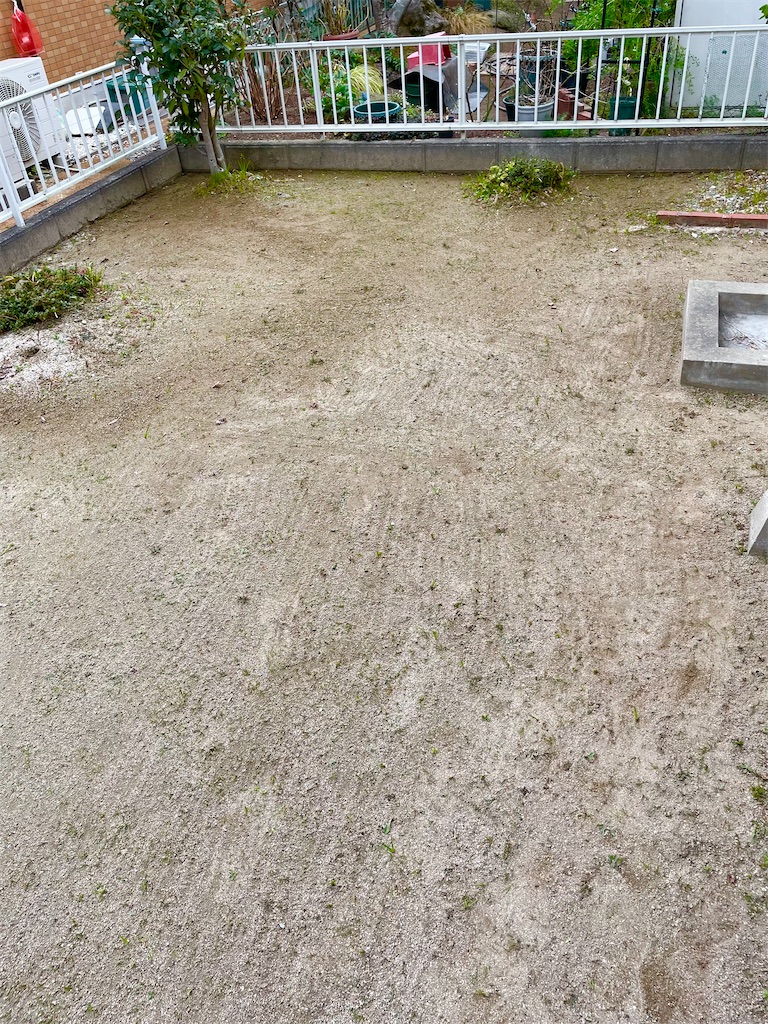 f:id:CiCi_Lemonade:20260205200950j:image