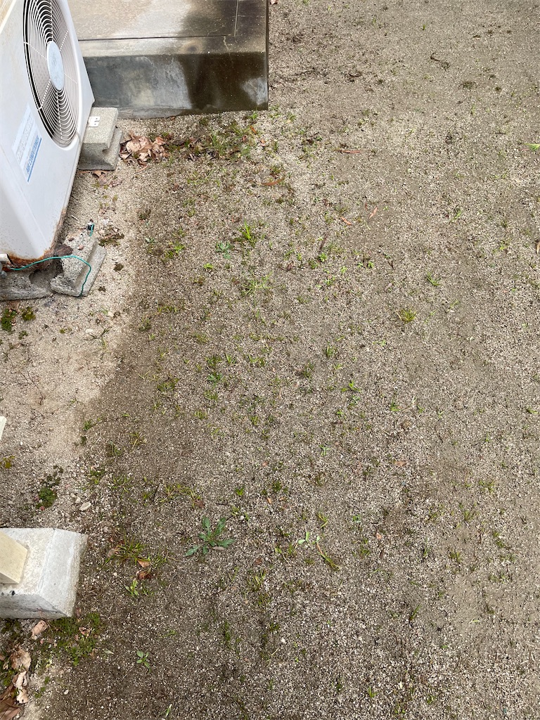 f:id:CiCi_Lemonade:20260212072535j:image