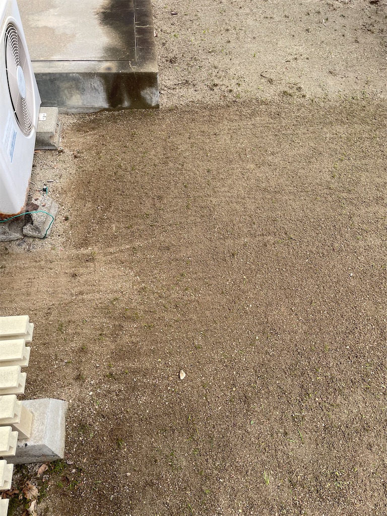 f:id:CiCi_Lemonade:20260212072540j:image