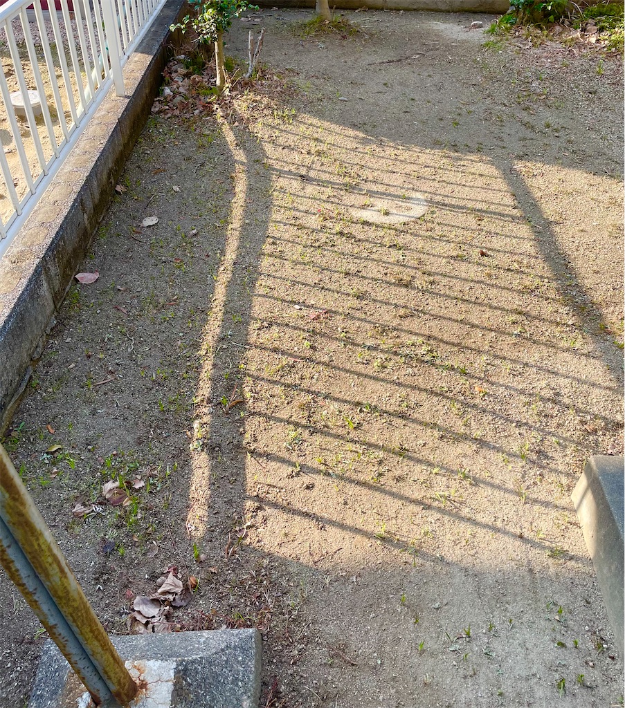 f:id:CiCi_Lemonade:20260214075732j:image