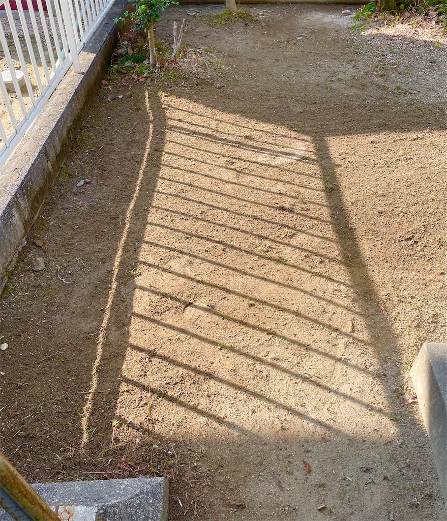 f:id:CiCi_Lemonade:20260214075735j:image