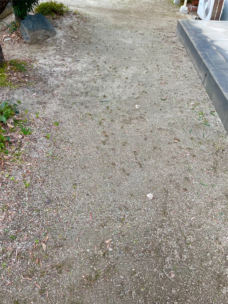 f:id:CiCi_Lemonade:20260215070509j:image f:id:CiCi_Lemonade:20260215070509j:image