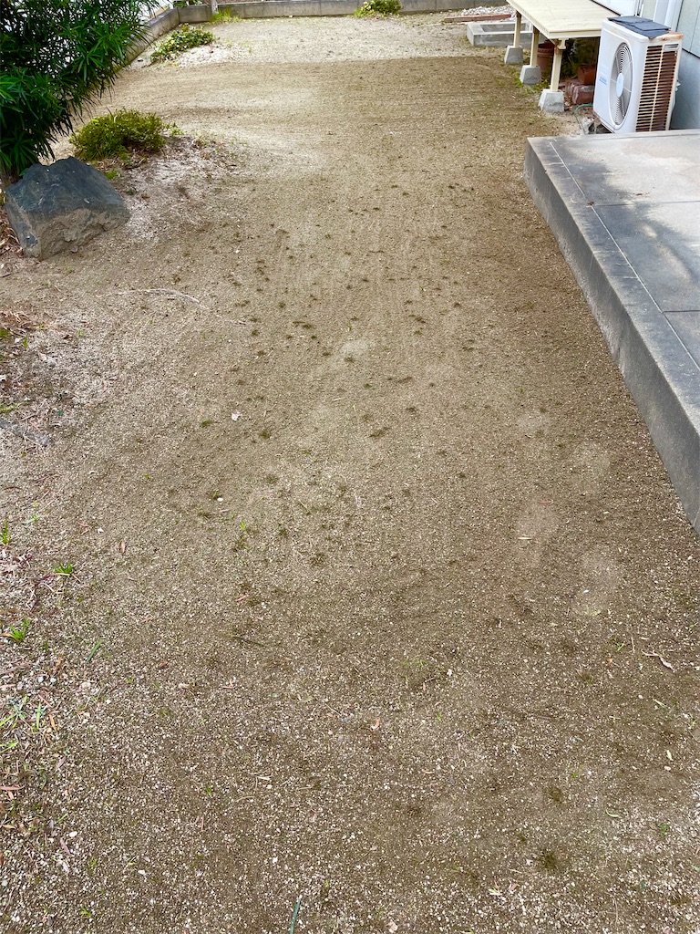 f:id:CiCi_Lemonade:20260215070515j:image f:id:CiCi_Lemonade:20260215070515j:image