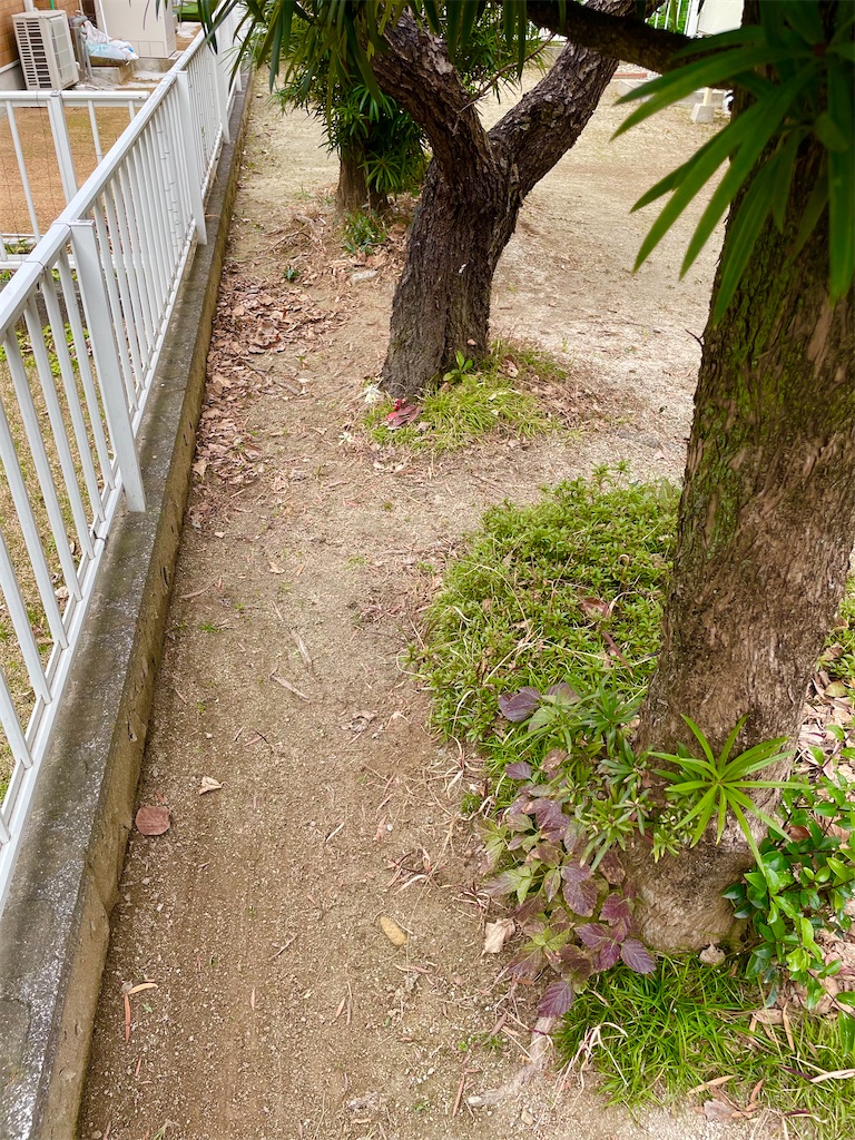 f:id:CiCi_Lemonade:20260215071024j:image f:id:CiCi_Lemonade:20260215071024j:image