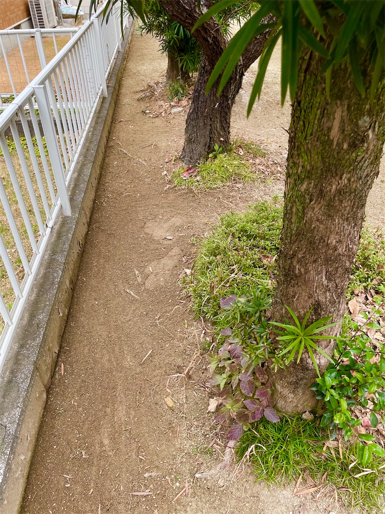 f:id:CiCi_Lemonade:20260215071029j:image f:id:CiCi_Lemonade:20260215071029j:image