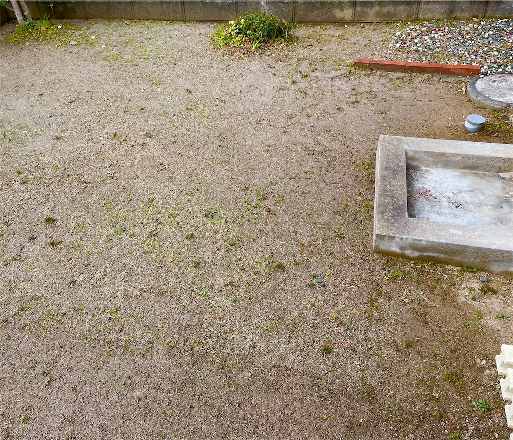 f:id:CiCi_Lemonade:20260216055923j:image