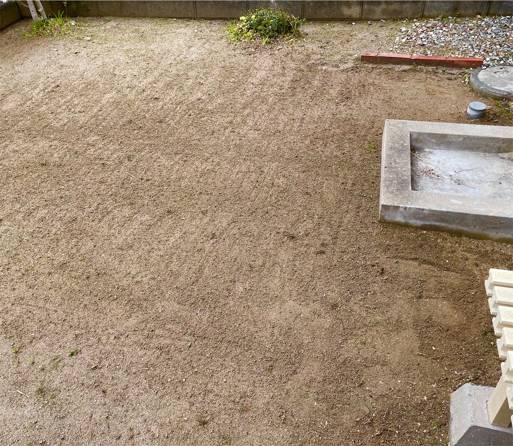 f:id:CiCi_Lemonade:20260216055942j:image