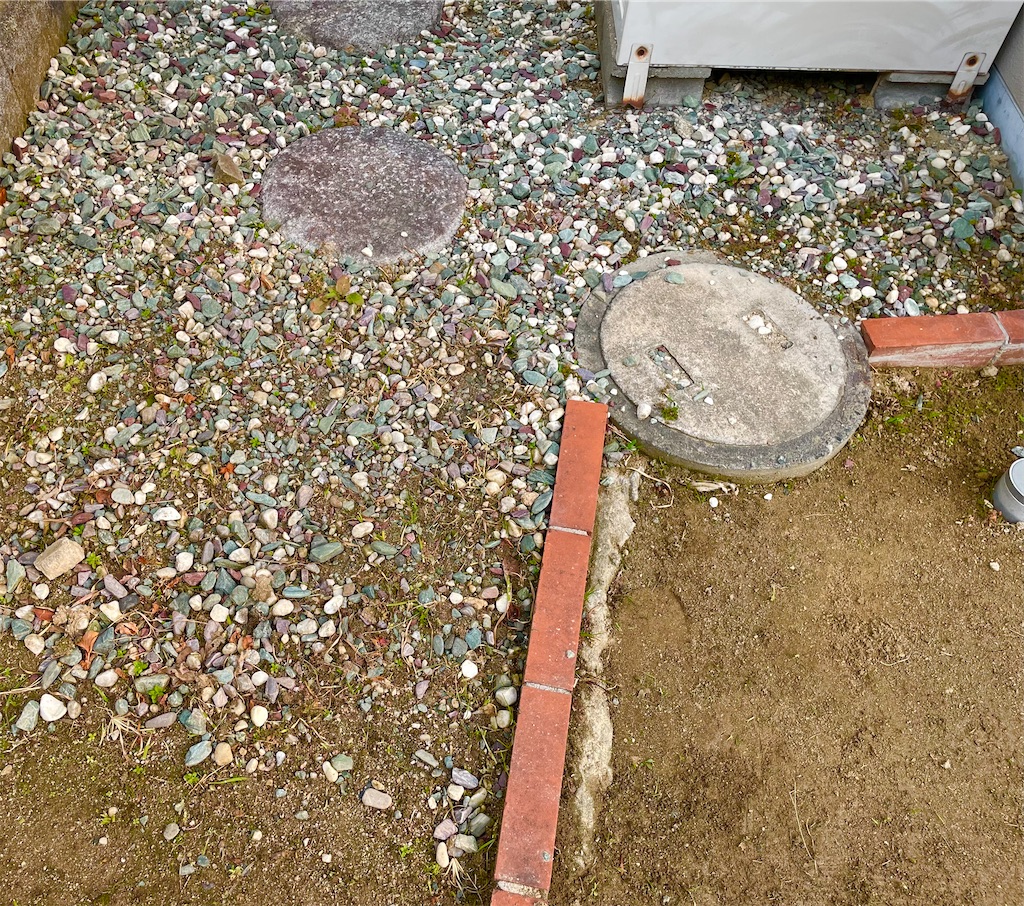 f:id:CiCi_Lemonade:20260217055050j:image f:id:CiCi_Lemonade:20260217055050j:image