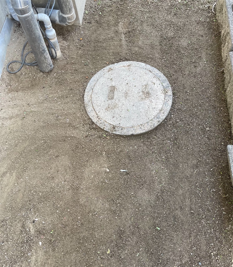 f:id:CiCi_Lemonade:20260218080002j:image