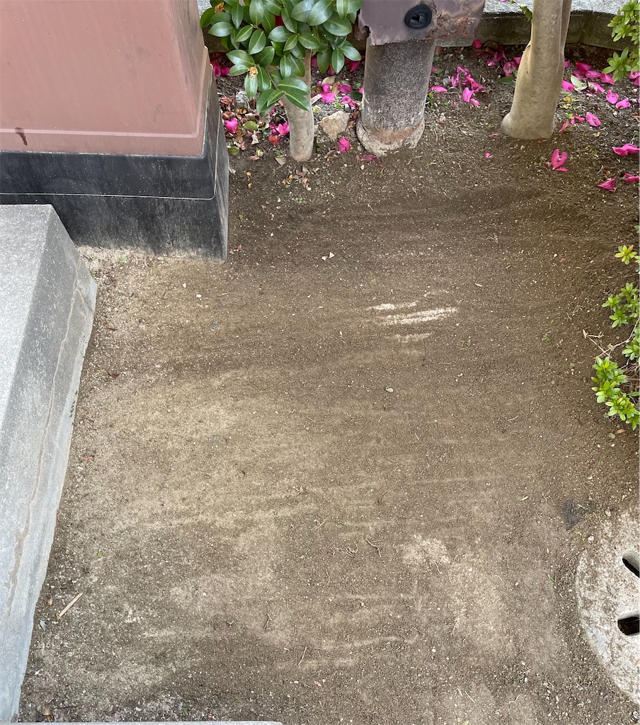 f:id:CiCi_Lemonade:20260218080042j:image