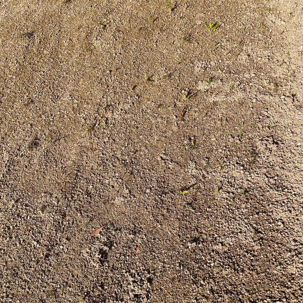 f:id:CiCi_Lemonade:20260220165155j:image f:id:CiCi_Lemonade:20260220165155j:image