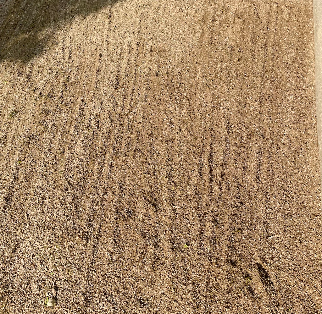 f:id:CiCi_Lemonade:20260220165200j:image f:id:CiCi_Lemonade:20260220165200j:image