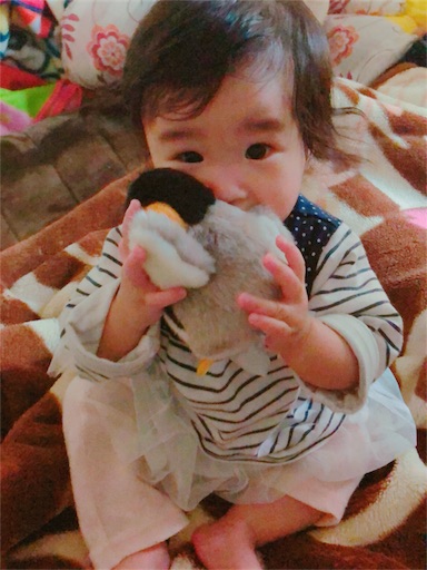 f:id:Cielo-Bella:20180617200244j:image f:id:Cielo-Bella:20180617200244j:image