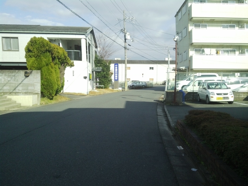 イメージ 5