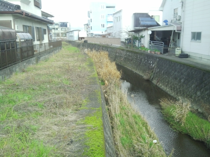 イメージ 6