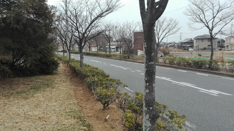 イメージ 11
