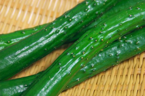 f:id:Clark-Takamatsu:20200630101523j:plain f:id:Clark-Takamatsu:20200630101523j:plain