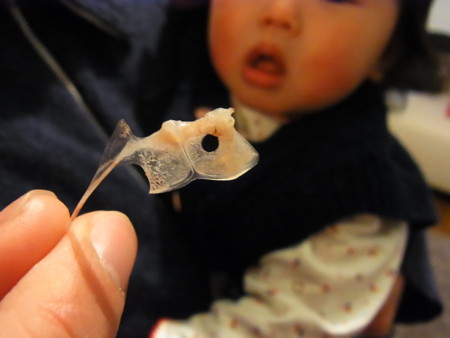 f:id:Classics2:20110212155428j:image