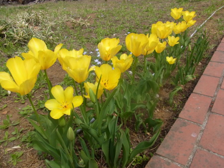 f:id:Classics2:20110411102107j:image