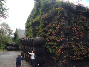 f:id:Claudia:20101010220832j:image