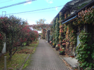 f:id:Claudia:20101010220906j:image