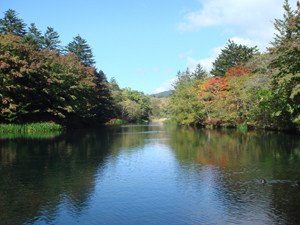 f:id:Claudia:20101011002604j:image