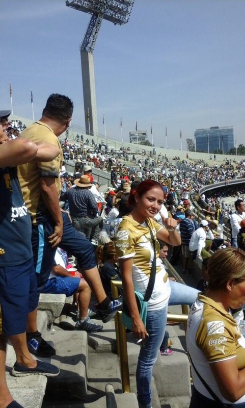 f:id:ClaudioSuarez:20151006110754j:image