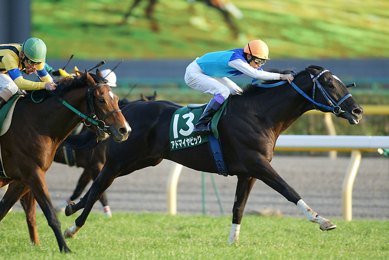２度の骨折に泣いた愛ダービー馬の弟 Pog Again