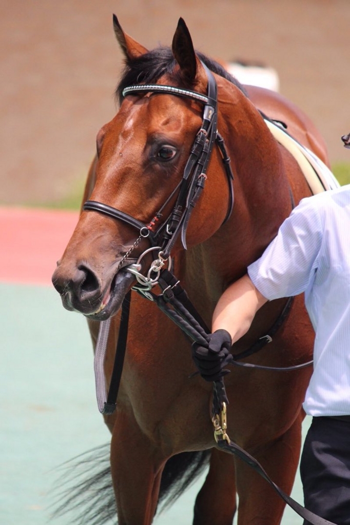 f:id:ClaudioSuarez:20170808134820j:plain f:id:ClaudioSuarez:20170808134820j:plain