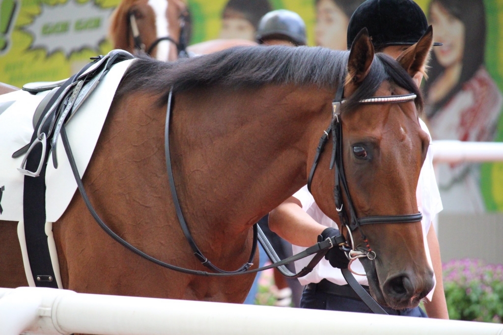 f:id:ClaudioSuarez:20171004195204j:plain f:id:ClaudioSuarez:20171004195204j:plain