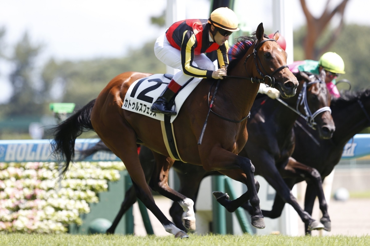 f:id:ClaudioSuarez:20190812222620j:plain