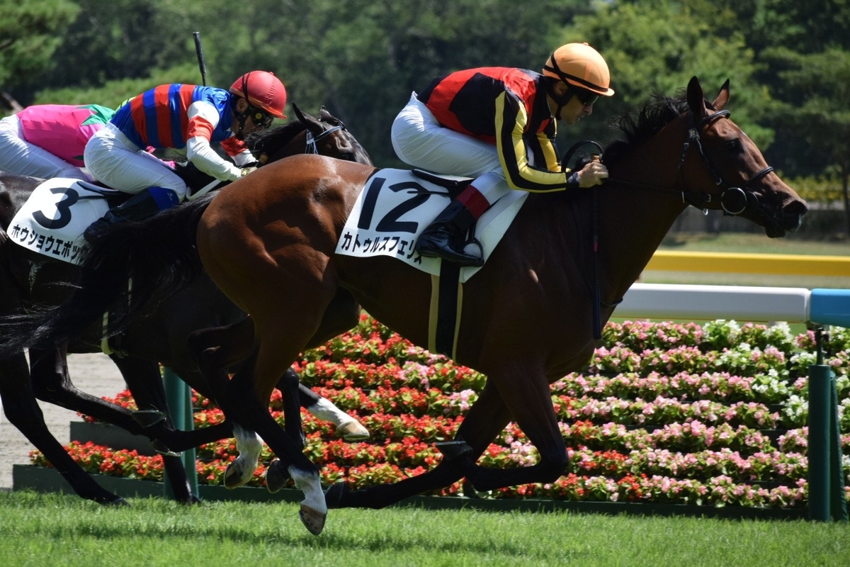 f:id:ClaudioSuarez:20190812222700j:plain