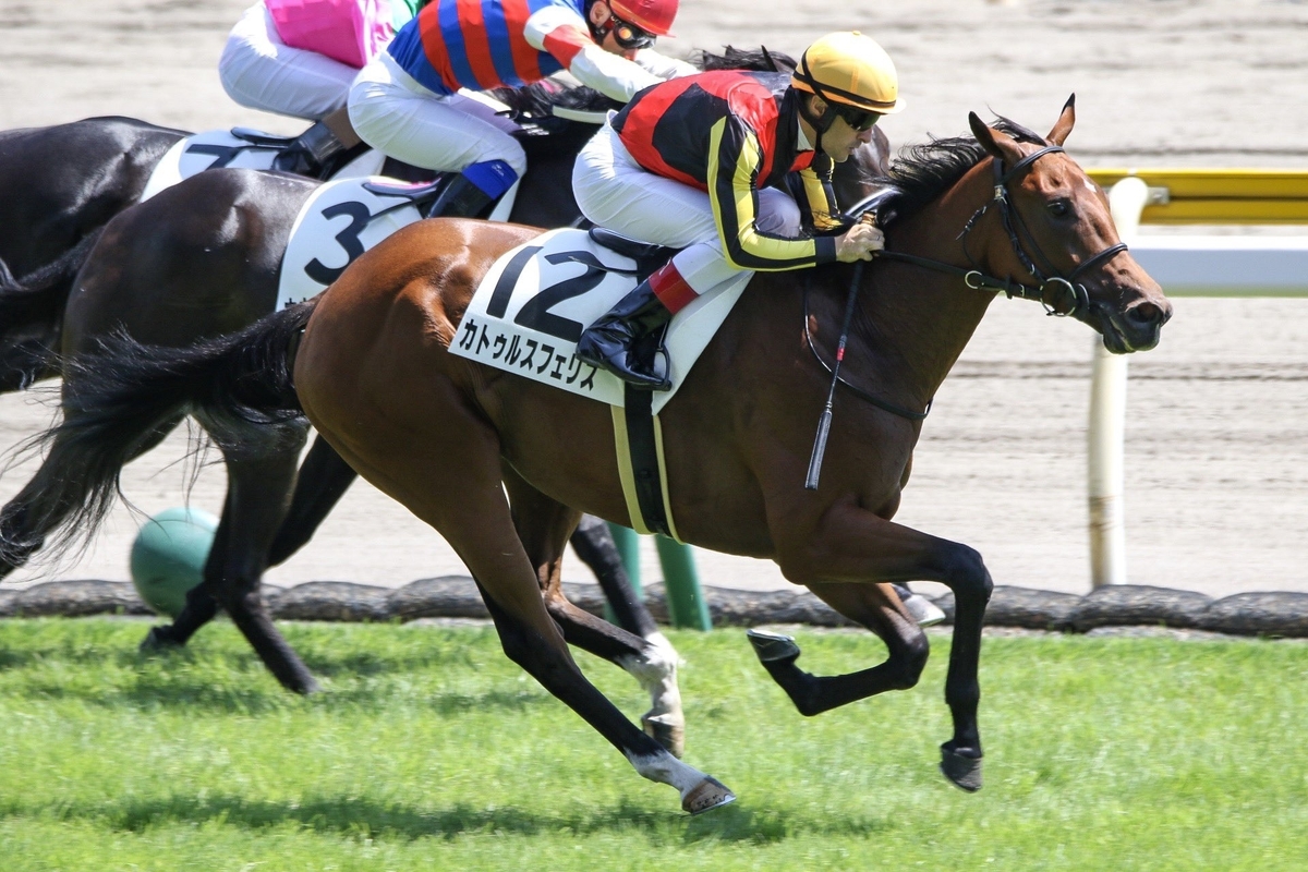 f:id:ClaudioSuarez:20190812222730j:plain