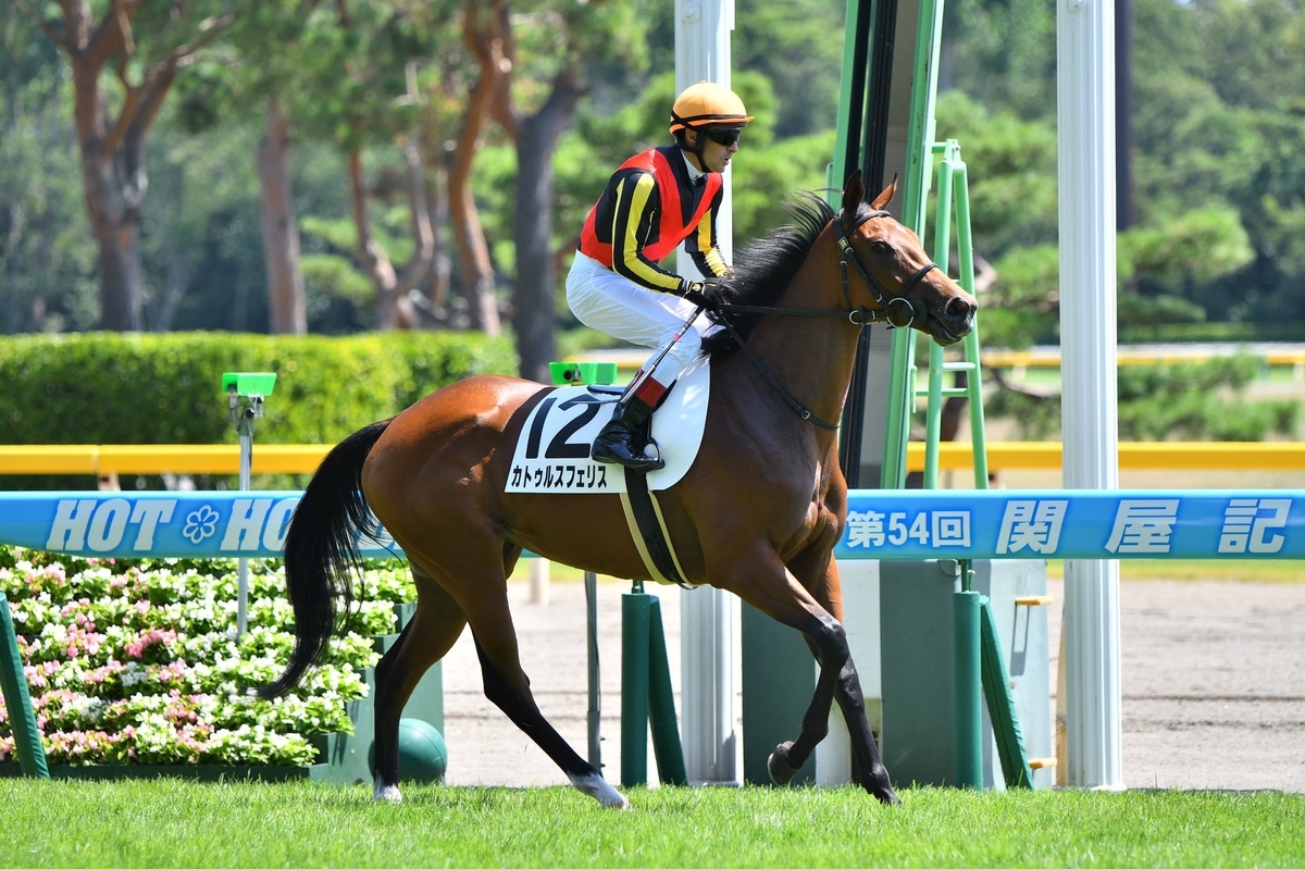 f:id:ClaudioSuarez:20190812233639j:plain